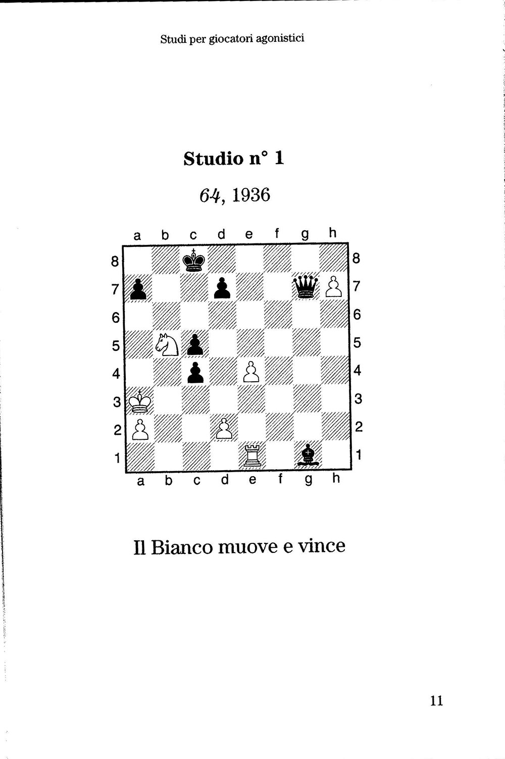 Studi per giocatori agonistici - immagine 2